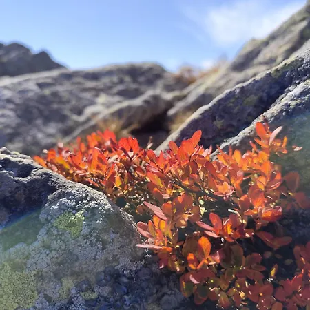 Prechtlhof 4* Althofen (Carinthia)