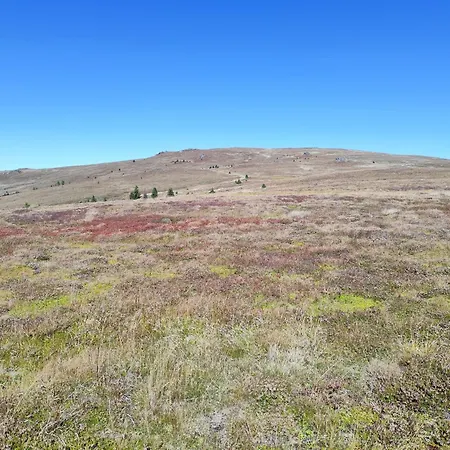 Prechtlhof فندق 4*