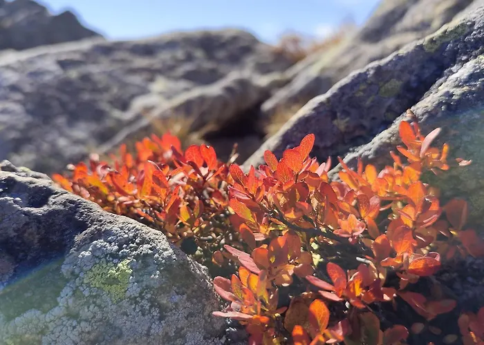 Prechtlhof 4* Althofen (Carinthia)