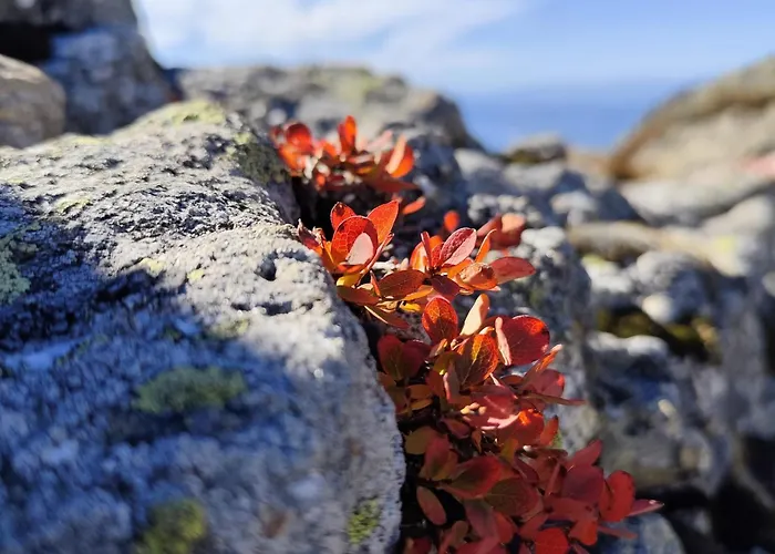 Prechtlhof فندق Althofen (Carinthia)